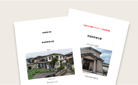 診断報告書
