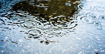 雨音