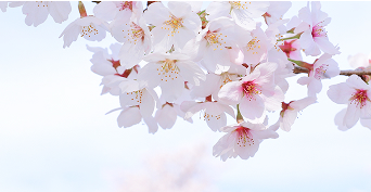 春(3〜5月)