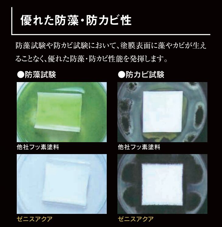 ゼニスアクアと他社フッ素塗料の防藻試験・防カビ試験の比較画像。他社フッ素塗料は試験体のまわりに藻やカビが発生しているのに対し、ゼニスアクアは藻もカビもほとんど発生していない。